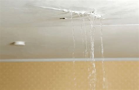 water leaking from ceiling vent|What To Do When Water Is Leaking From Your。